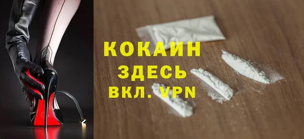 стафф Новодвинск