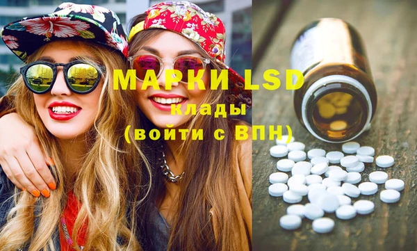 стафф Новодвинск