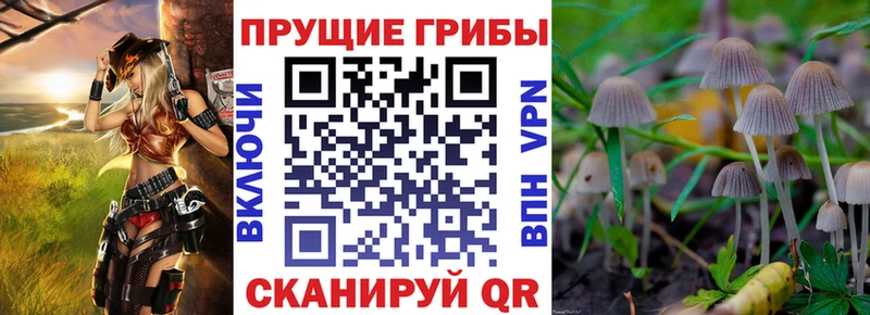 Купить  Майский  Псилоцибиновые грибы GOLDEN TEACHER 